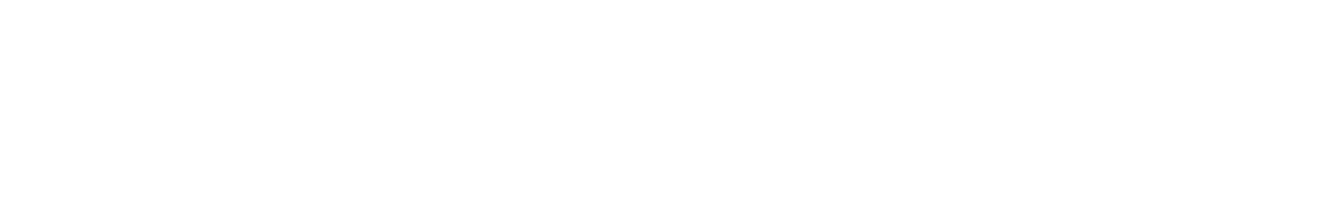 Zontes 150X logo